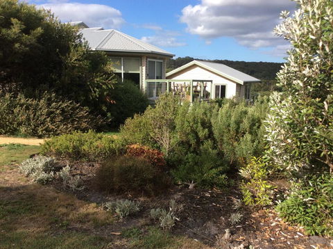 Forrest Willy Wagtail Studio - Accommodation Rockhampton 0