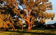 French Island Cottage - thumb 1