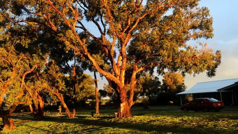 French Island Cottage - Accommodation Rockhampton 1