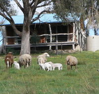 Gaddleen Grove Cottages - Accommodation Rockhampton