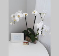Gawler Heritage Accommodation - Accommodation Rockhampton
