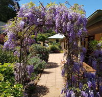 Gumtree House Montville - Accommodation Rockhampton