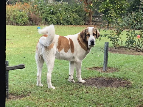 Gzone Farmstay - Accommodation Rockhampton 1