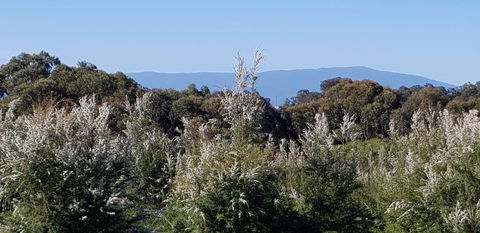 Hideaway Valley Farm - Accommodation Rockhampton 1