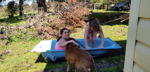 Hideaway Valley Farm - Accommodation Rockhampton 3