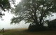 Hillview Cottages - thumb 3