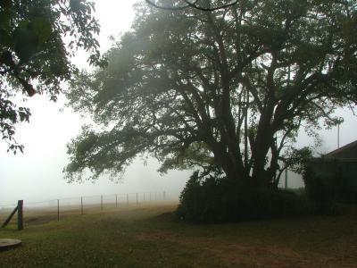 Hillview Cottages - Accommodation Rockhampton 3