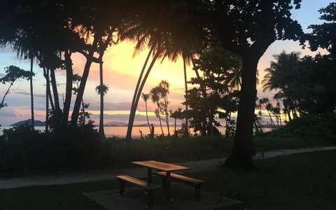 Jackaroo Treehouse Mission Beach - Accommodation Rockhampton 3