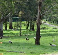 JAN'S ART STUDIO AT ASHBY RISE - Accommodation Rockhampton