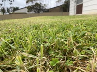 Book Karoonda Accommodation Vacations Accommodation Rockhampton Accommodation Rockhampton
