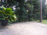 Kuranda Ngorongoro Lodge