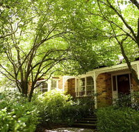 Leura Camellias - Accommodation Rockhampton