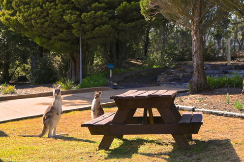 Leura Lodge At Mt Victoria - Accommodation Rockhampton 2