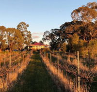 Lillicur Vineyard BB - Accommodation Rockhampton