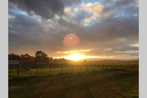 Lucys Artist Cottage - Accommodation Rockhampton 3