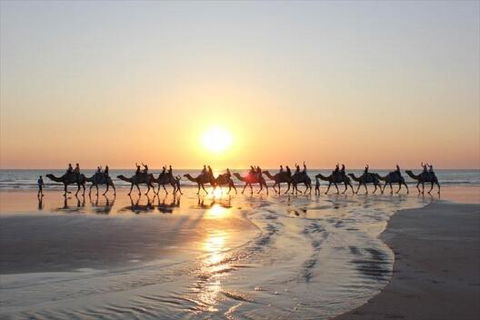 Luxury Executive Apartment At Broome Cable Beach - Accommodation Rockhampton 1