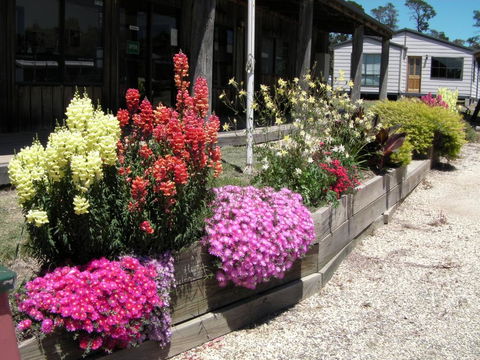 Mansfield Holiday Park - Accommodation Rockhampton 3