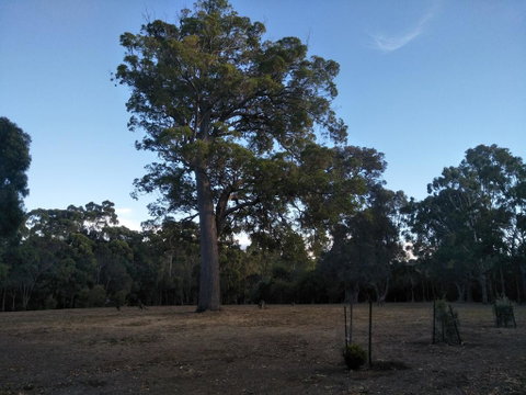 Margaret House - Accommodation Rockhampton 1