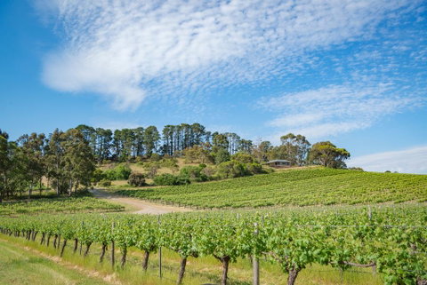 McLaren Vale Getaways - Accommodation Rockhampton 0
