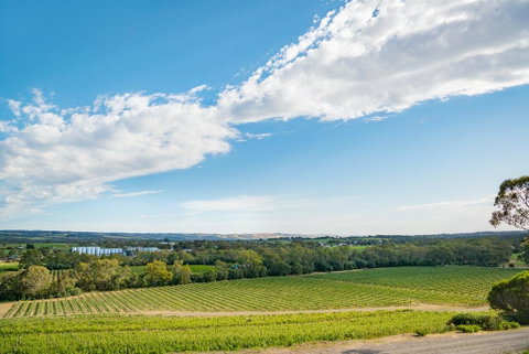 McLaren Vale Getaways - Accommodation Rockhampton 1