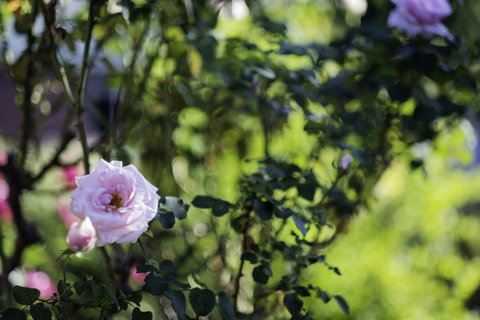 Monty's On Lumley Drive - Accommodation Rockhampton 2