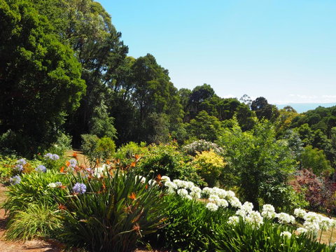 Murrindindi - Accommodation Rockhampton 0