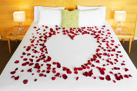 Novotel Perth Langley - Accommodation Rockhampton 14