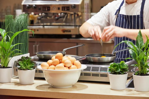 Novotel Perth Langley - Accommodation Rockhampton 5