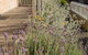 Spencer Cottage - thumb 11