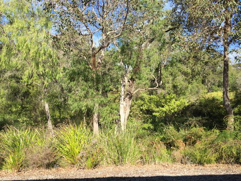 Cape Villas Dunsborough Unit 2 - Accommodation Rockhampton 26