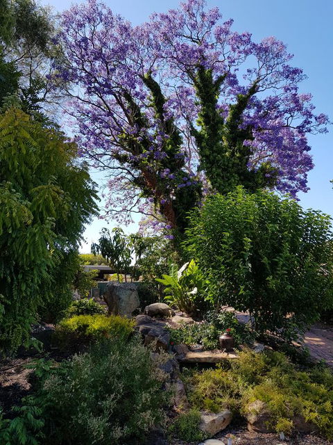 Jacaranda Hideaway Bed & Breakfast - Accommodation Rockhampton 10