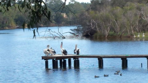 Jacaranda Hideaway Bed & Breakfast - Accommodation Rockhampton 18