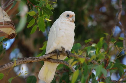 Margaret River Hideaway & Farmstay - Accommodation Rockhampton 26