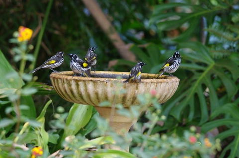 Margaret River Hideaway & Farmstay - Accommodation Rockhampton 30