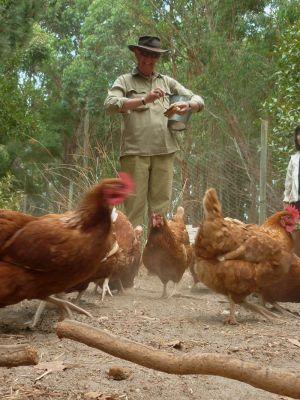 Margaret River Hideaway & Farmstay - Accommodation Rockhampton 28