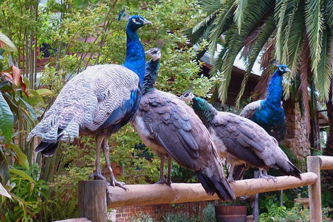 Margaret River Hideaway & Farmstay - Accommodation Rockhampton 19