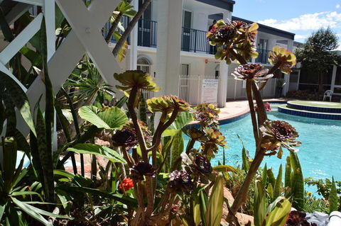 Seashore Memories - Sleeps 3 - Accommodation Rockhampton 14