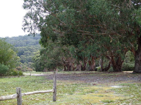 Riverside Retreat Chalets, Walpole - Accommodation Rockhampton 17