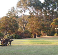 Riverside Retreat Chalets Walpole - Accommodation Rockhampton