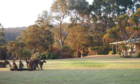 Riverside Retreat Chalets, Walpole - Accommodation Rockhampton 0