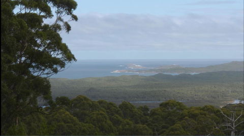Riverside Retreat Chalets, Walpole - Accommodation Rockhampton 30