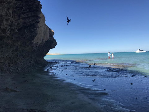 Peoples Park - Accommodation Rockhampton 36