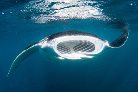 Peoples Park - Accommodation Rockhampton 32