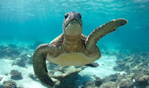 Peoples Park - Accommodation Rockhampton 31