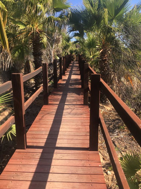 Peoples Park - Accommodation Rockhampton 10