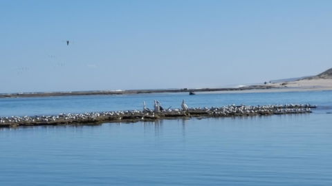 Kalbarri Seaview Villas - Accommodation Rockhampton 33