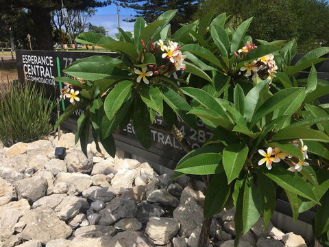 Esperance Central Accommodation - Accommodation Rockhampton 3