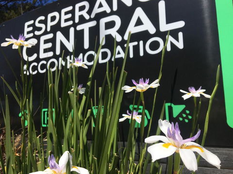 Esperance Central Accommodation - Accommodation Rockhampton 0