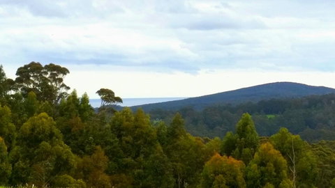 Karri Aura - Accommodation Rockhampton 10