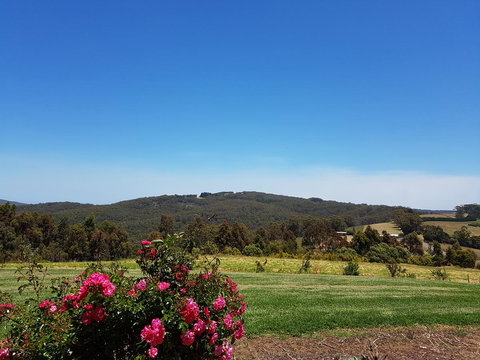 Karri Aura - Accommodation Rockhampton 9